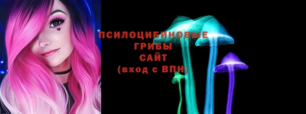 бутират Козловка