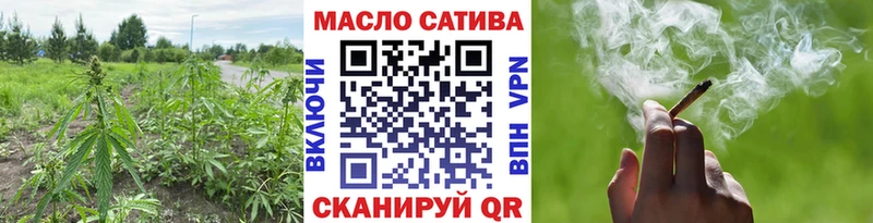 MEGA как войти  наркошоп  Кирово-Чепецк  Дистиллят ТГК гашишное масло 