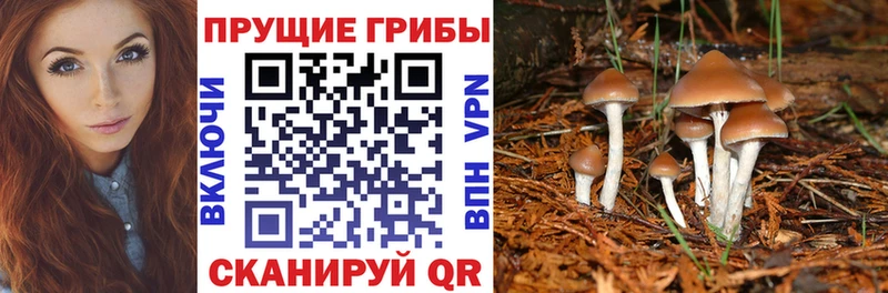OMG маркетплейс  купить закладку  Кирово-Чепецк  Псилоцибиновые грибы ЛСД 