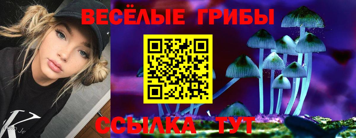 Галлюциногенные грибы Magic Shrooms Кирово-Чепецк