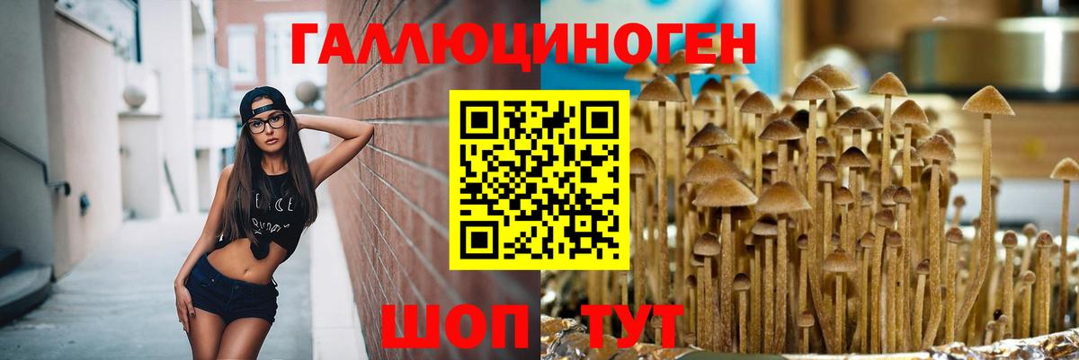 Галлюциногенные грибы MAGIC MUSHROOMS  купить наркоту  Кирово-Чепецк  Вход с VPN 